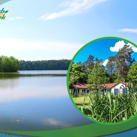 Jagd-Angler-Suite-03-Im-Wald-Am-See Kyritz Εξωτερικό φωτογραφία